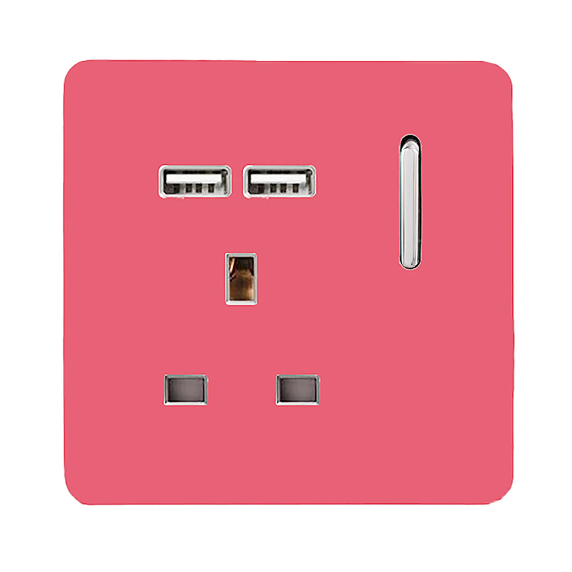 1 Gang 13Amp Switched Single Socket With 2 x USB Strawberry